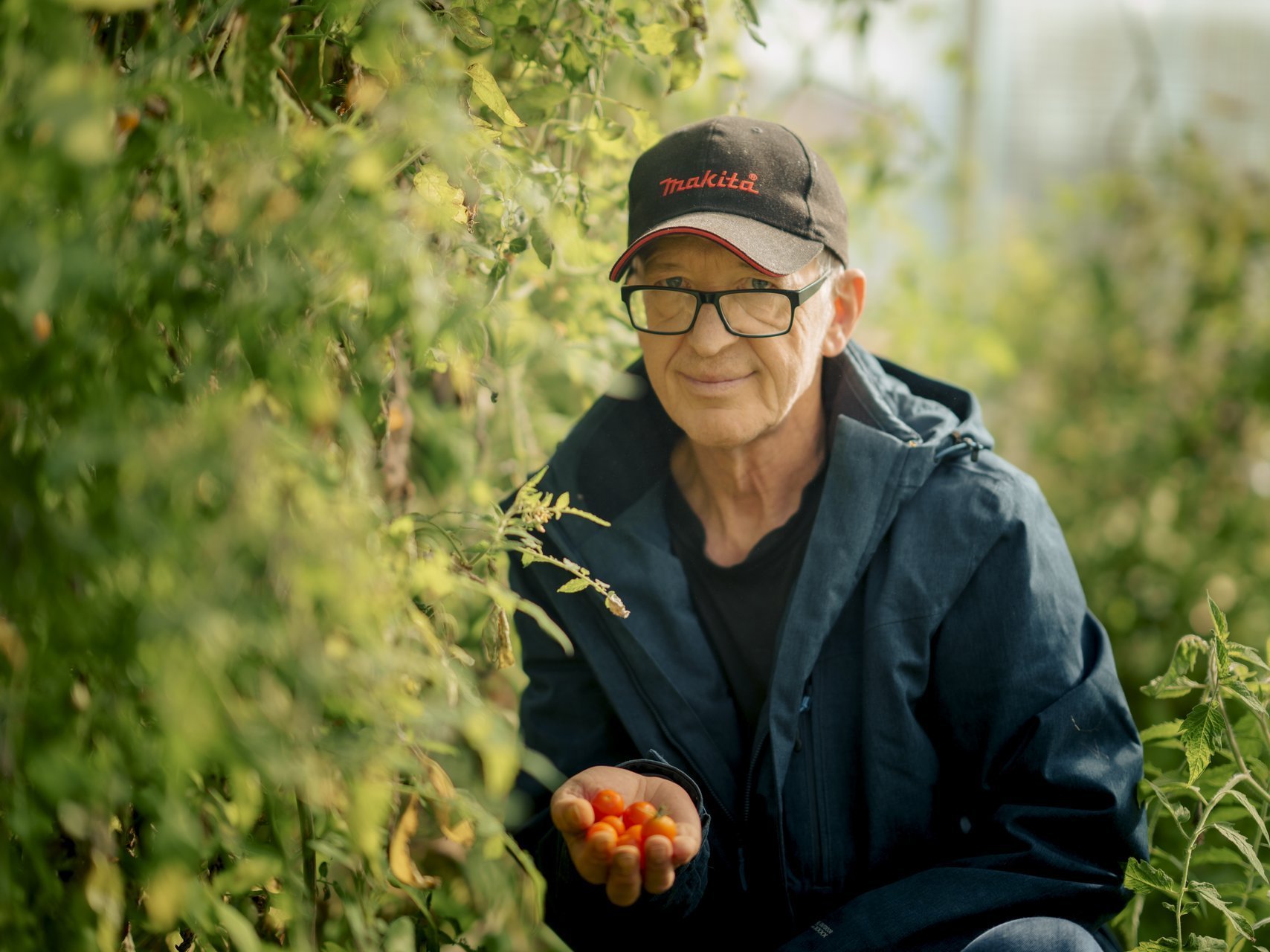 ein Mann mit Brille und Cap sitzt in einem Beet und hat mini Tomaten in der Hand 