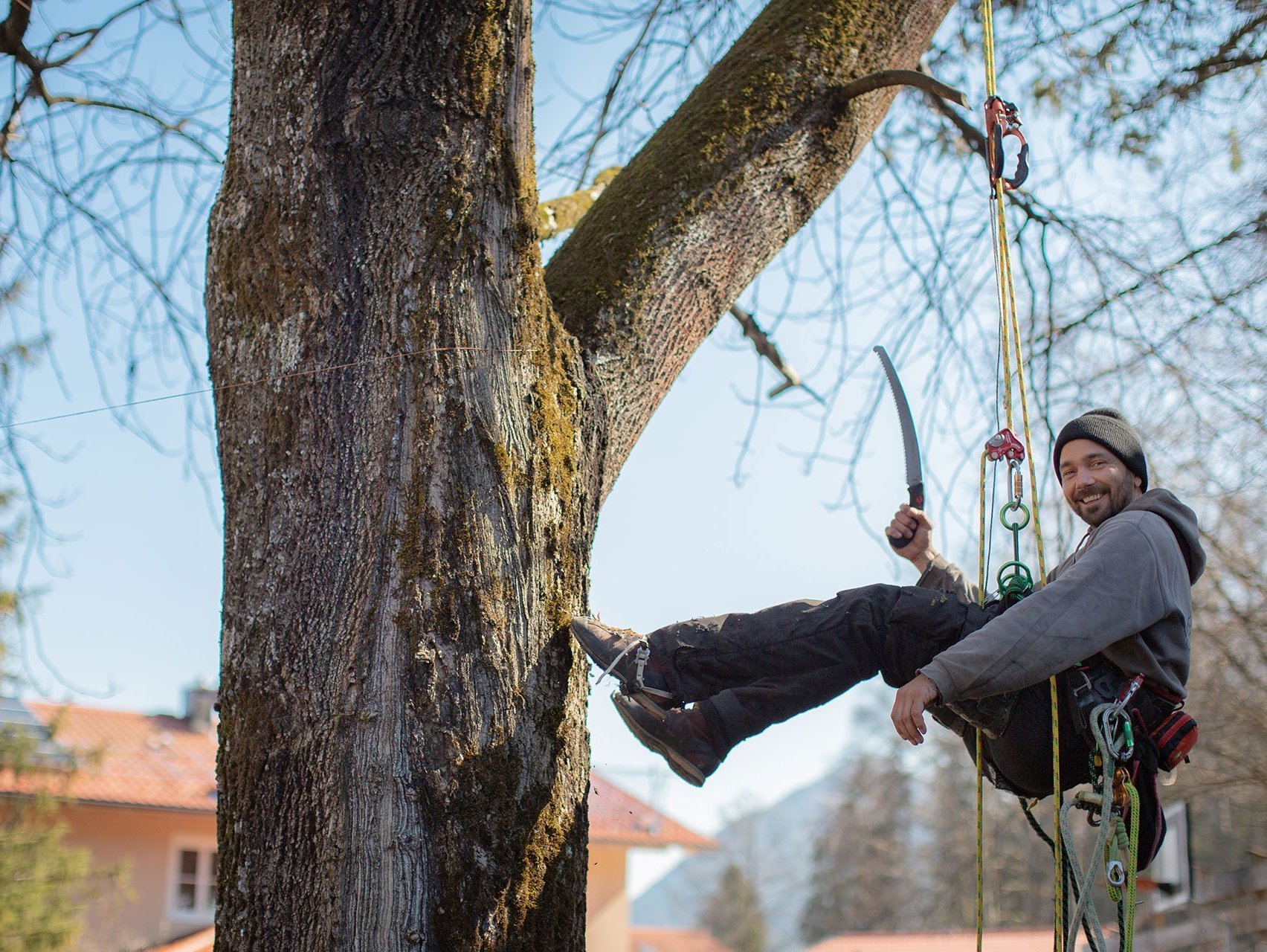 Ein Mann in Arbeitskleidung hängt mit Klettergurt an einem Baum - hält eine Säge in der Hand und lächelt in die Kamera